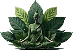 Indian-Federation-of-yoga-2025